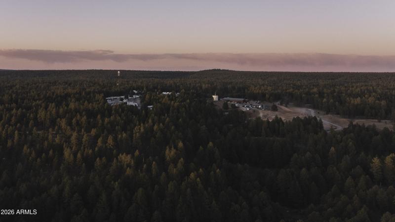 Endless Skyline & Forest