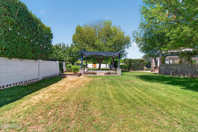 Backyard 8