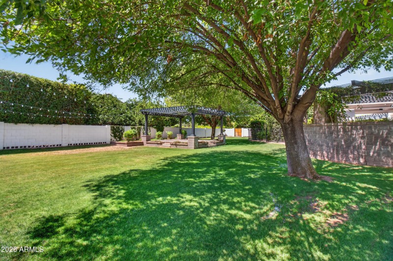 Backyard 9