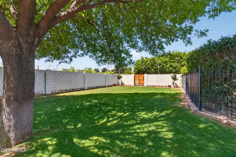 Backyard 19