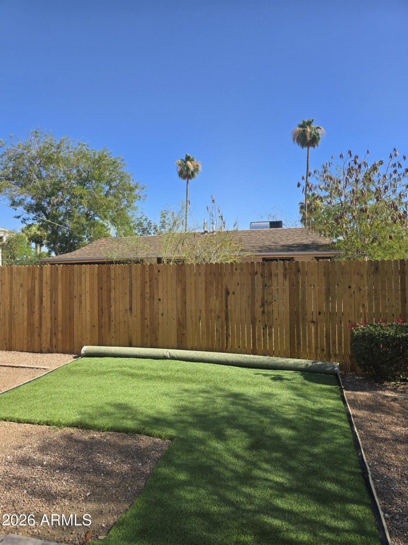 Backyard