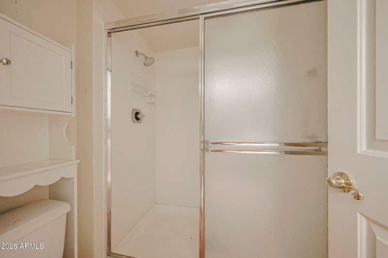 PRIMARY SHOWER