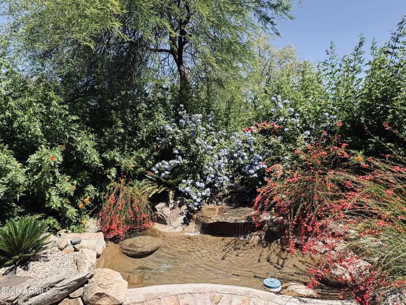 backyard waterfall