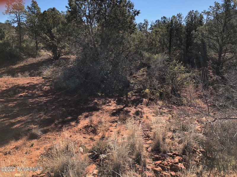 20190207020159461401000000-o