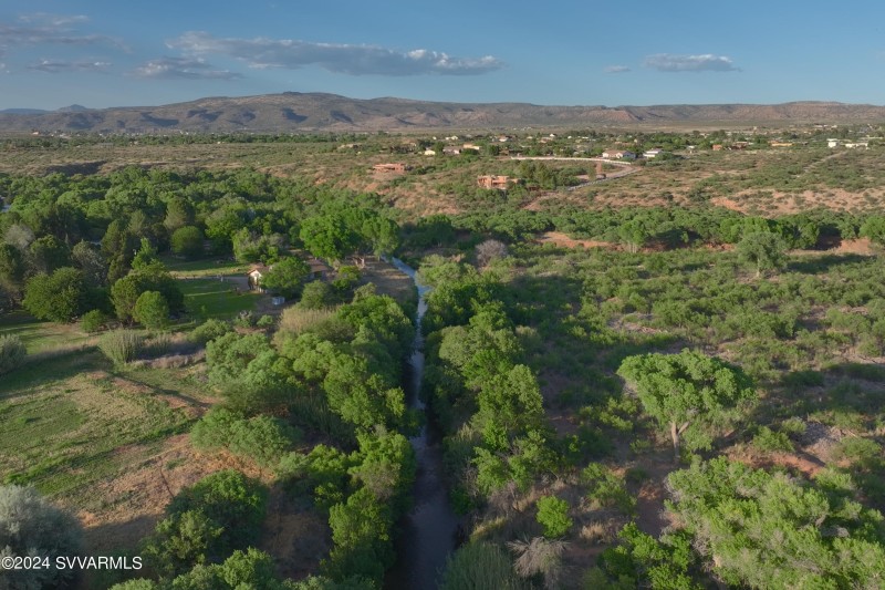 Lush vegetation around the creek