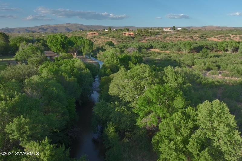 Lush vegetation around the creek