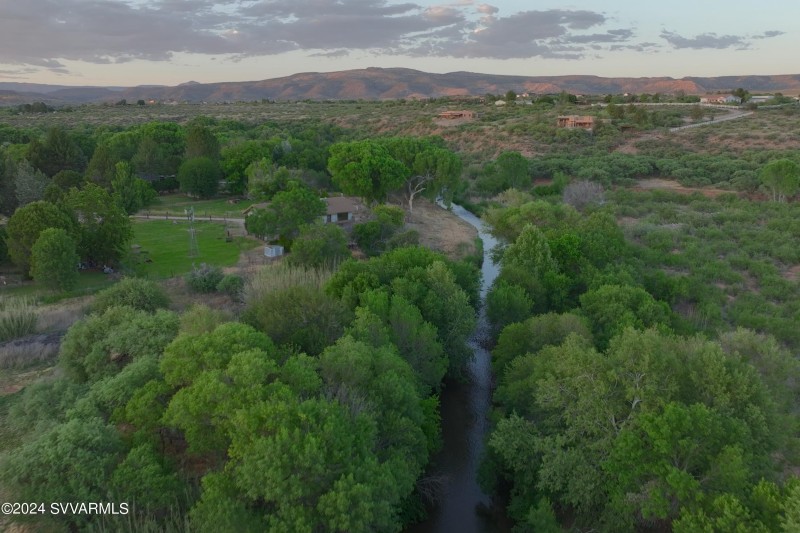 Lush vegetation around the creek