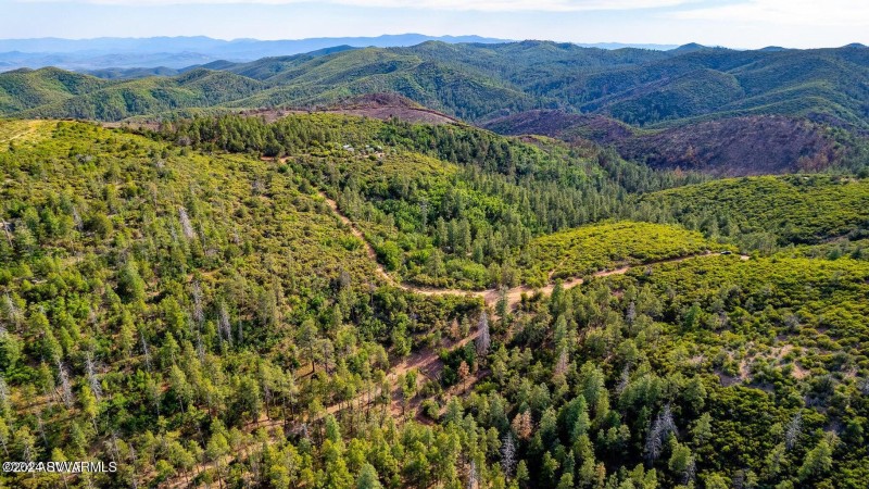 20240808060357633013000000-o