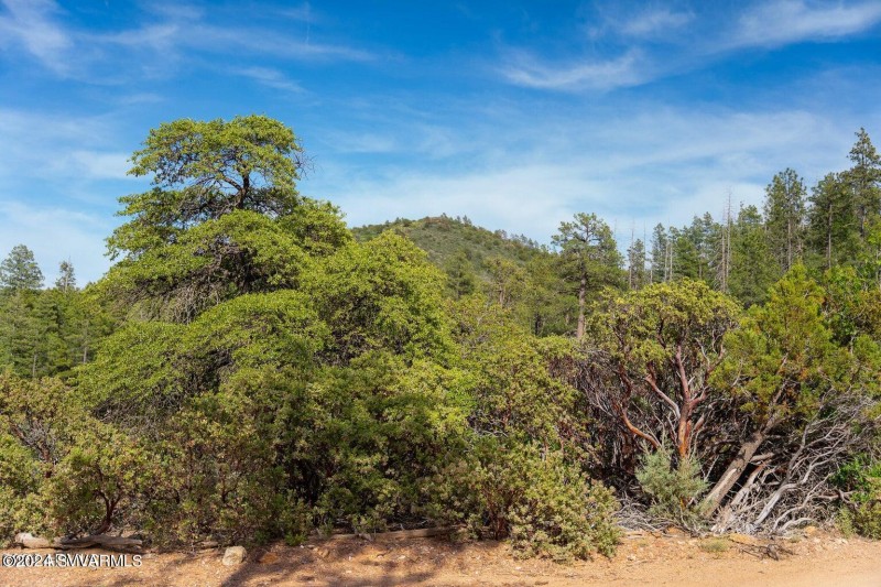 20240808060746069366000000-o