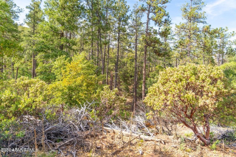 20240808060908396465000000-o