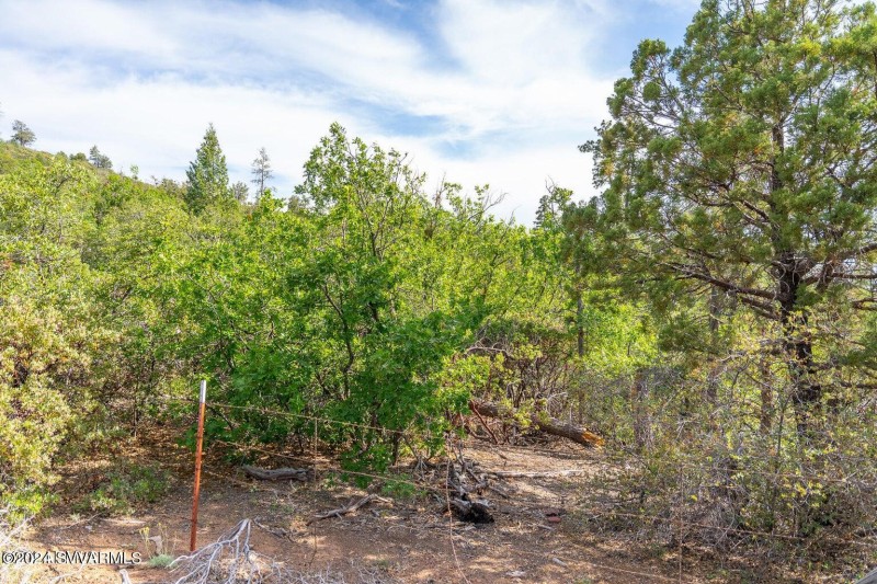 20240808060915145981000000-o