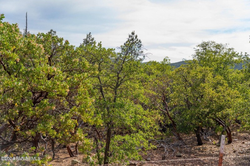 20240808060926262396000000-o