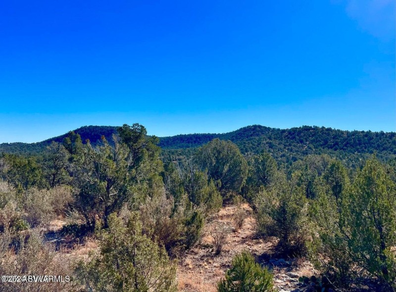 20241203091413668346000000-o