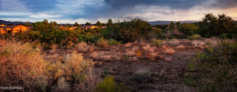 Fir & Camino Real View