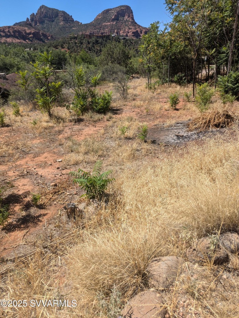 PXL_20250726_171220836