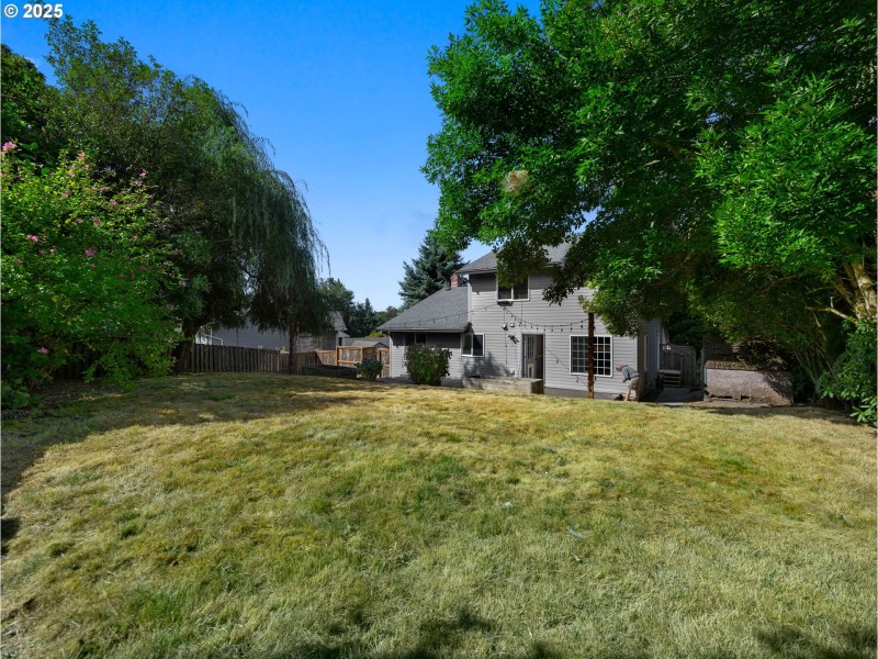 Backyard