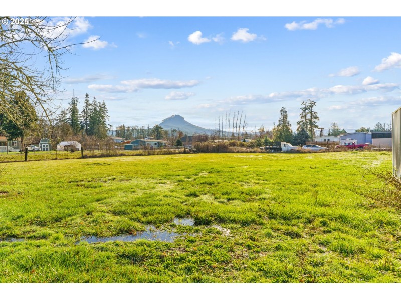Pasture