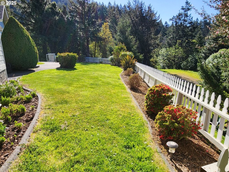 Front Yard