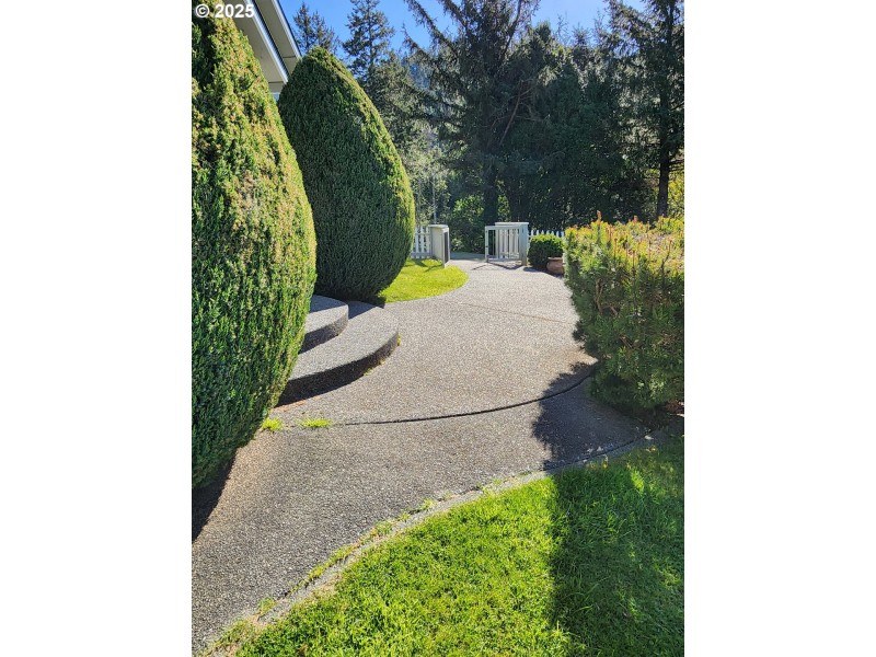 Front Yard