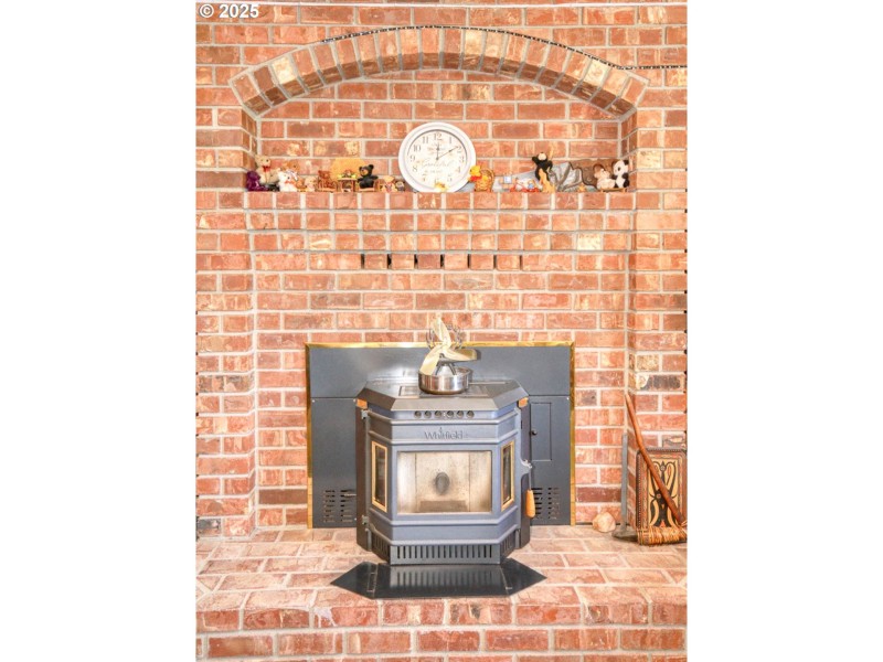 Fireplace Pellet Stove