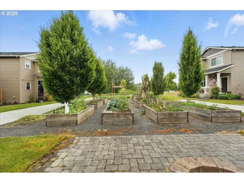 Community Garden