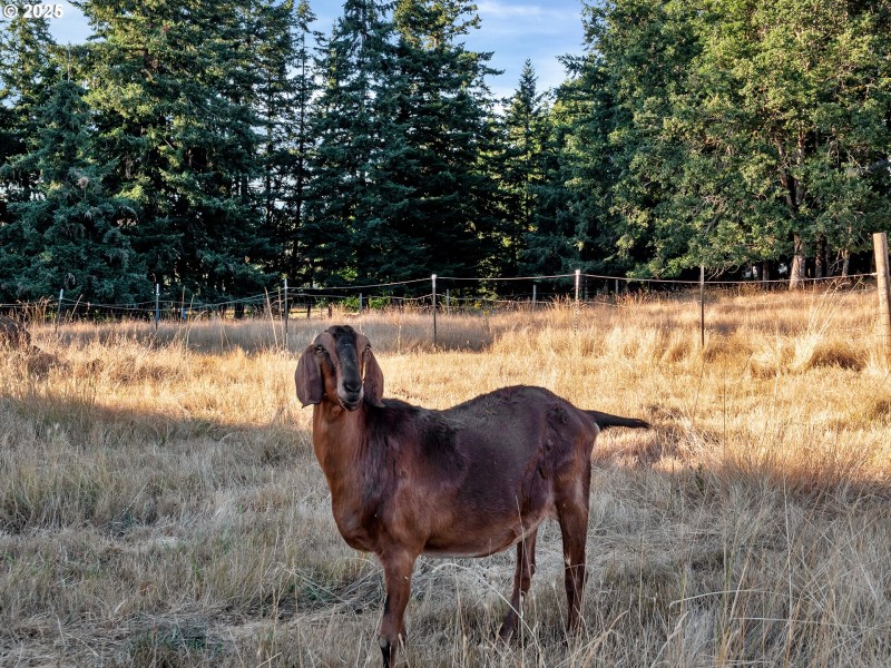 Acreage