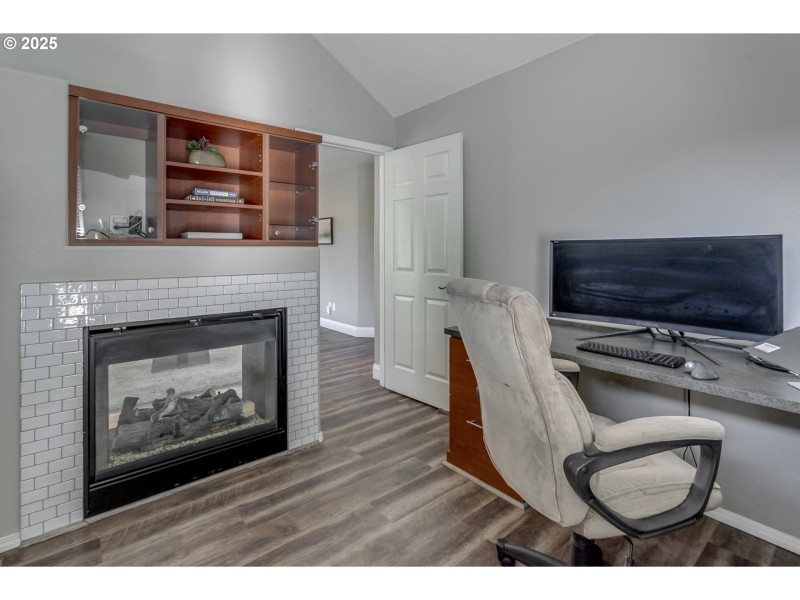Fireplace Gas Burning Stove/Insert