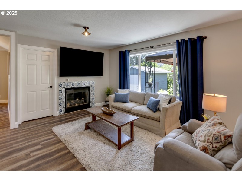 Fireplace Gas Burning Stove/Insert