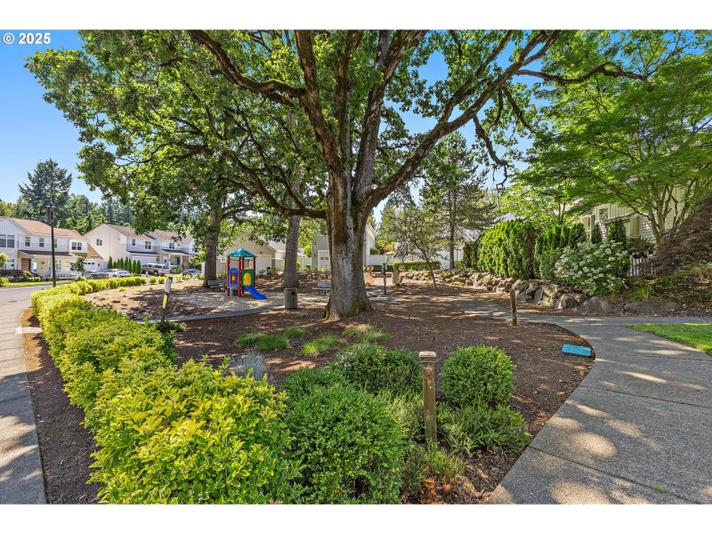 Community Amenities