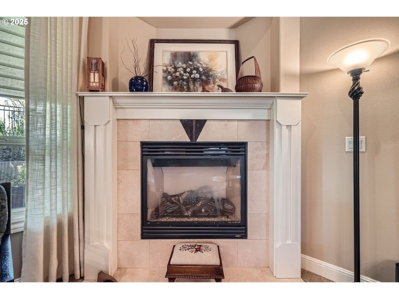 Fireplace Gas