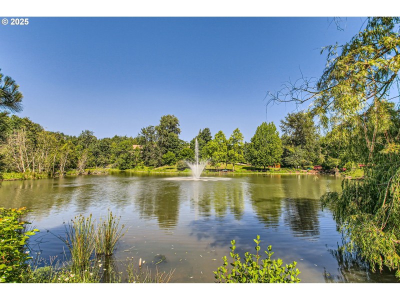 Pond