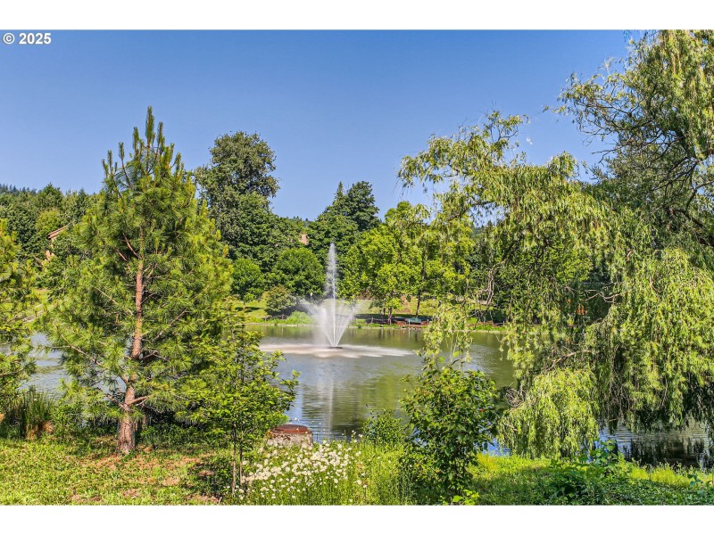 Water Feature