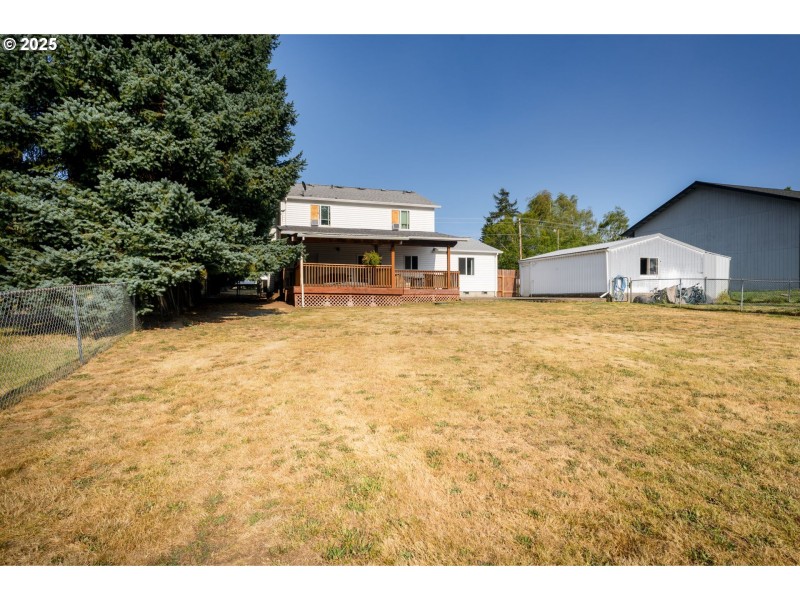 Backyard