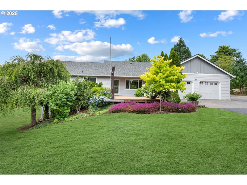 Front Yard