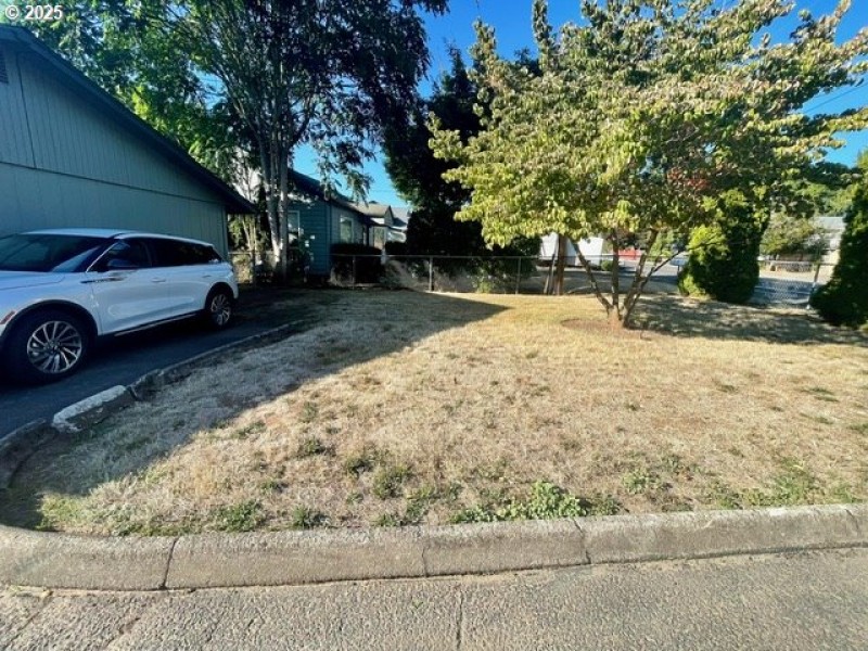 Front Yard