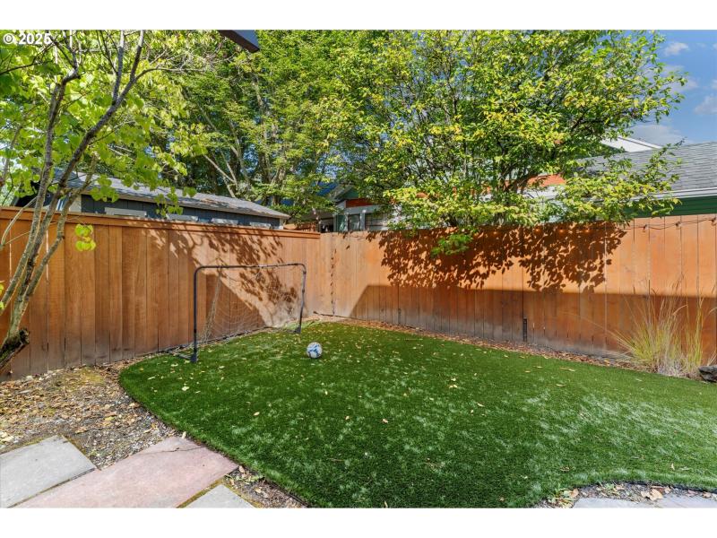 Backyard