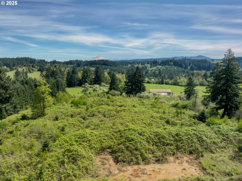 Drone View/UAV