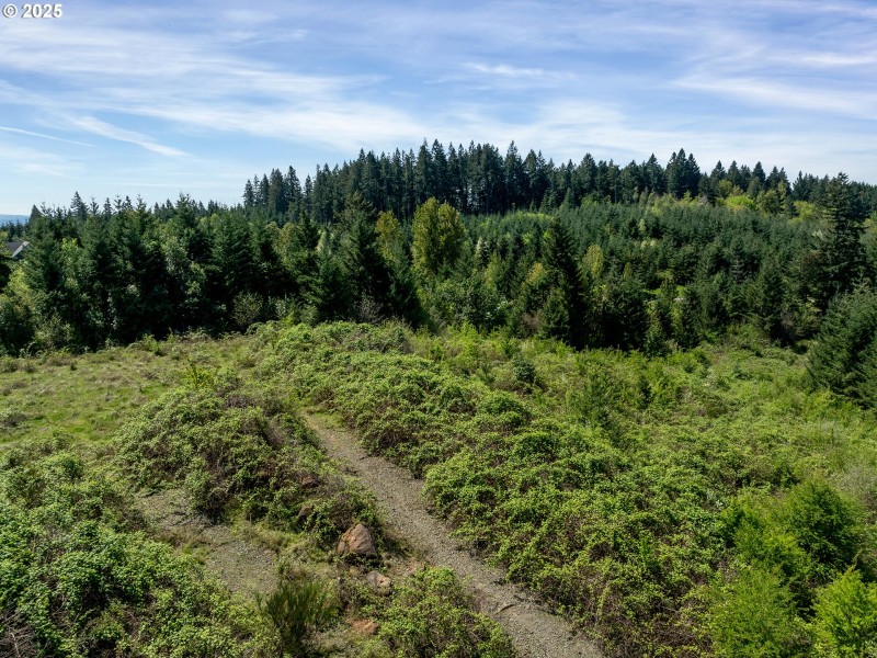 Drone View/UAV