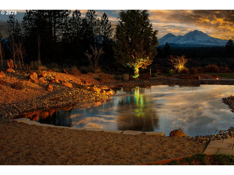 Pond