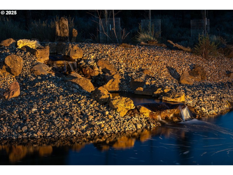 Pond