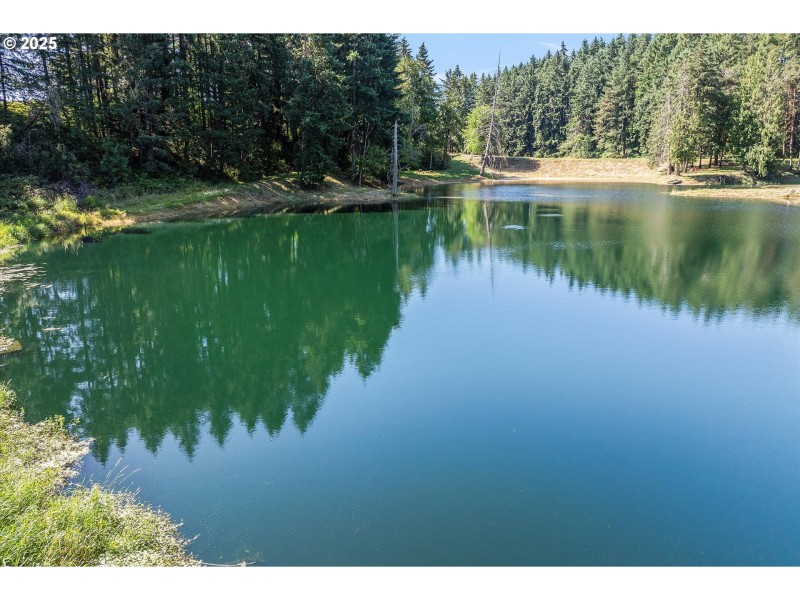 Pond