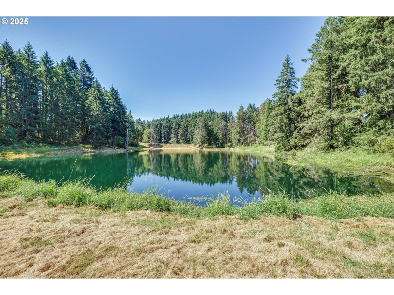 Pond
