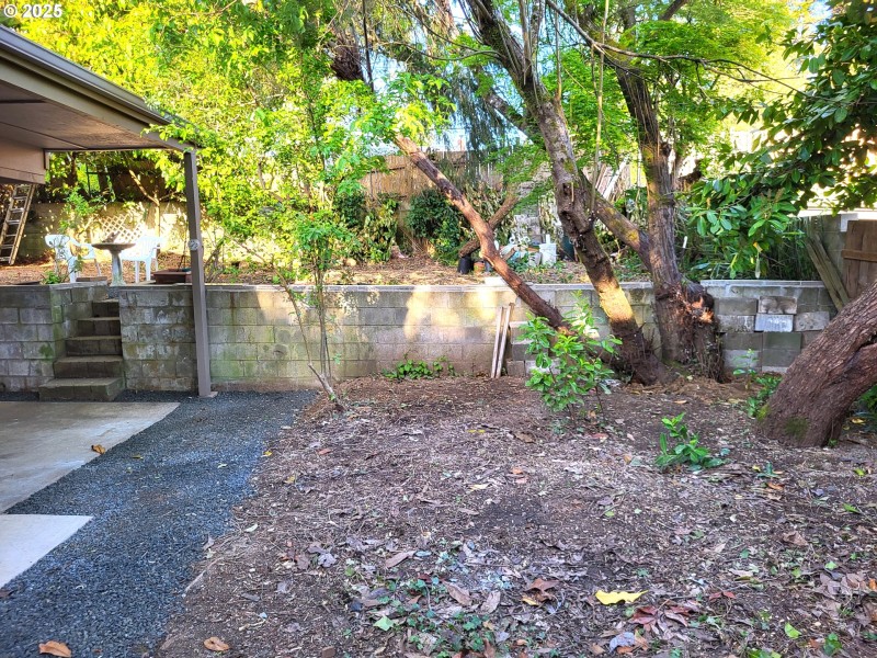 Backyard