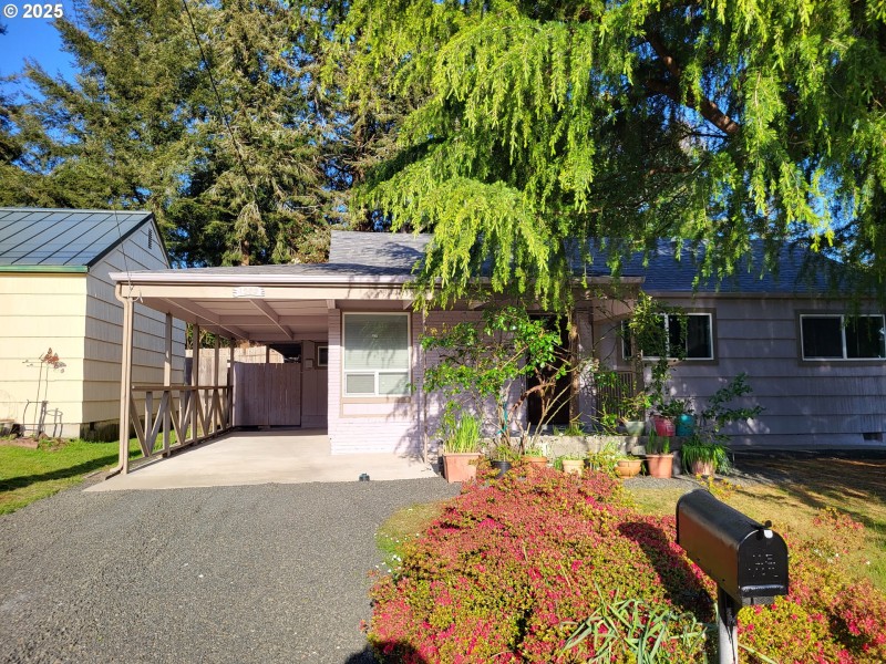 Driveway