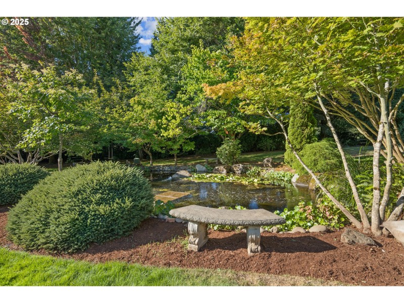 Pond