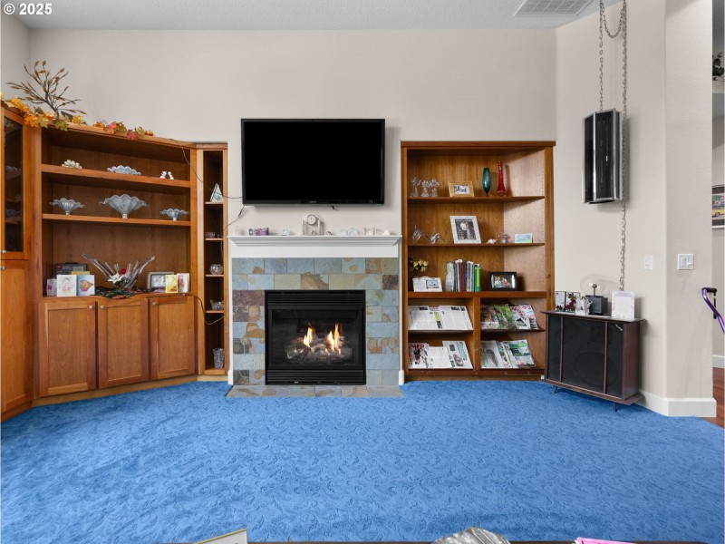 Fireplace Gas