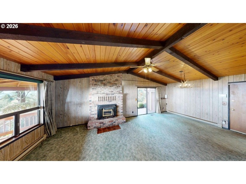 Fireplace Wood Burning Stove/Insert