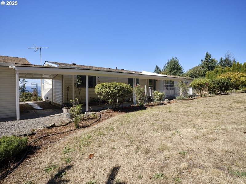 Front Yard