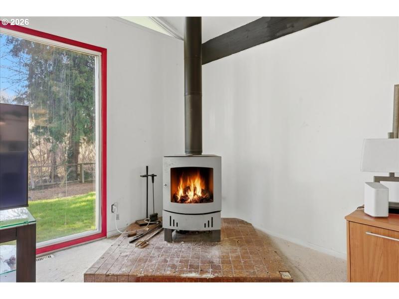 Fireplace Wood Burning Stove/Insert