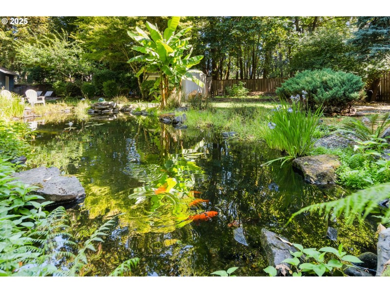 Pond